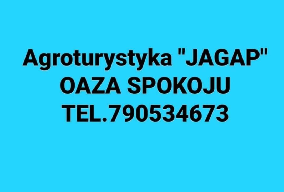 Agroturystyka "Jagap" Oaza Spokoju Dzierzoniow Exterior foto